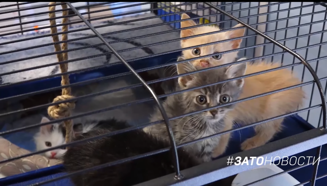 QIP Shot - Screen 2033.png QIP Shot - Screen 2033.png